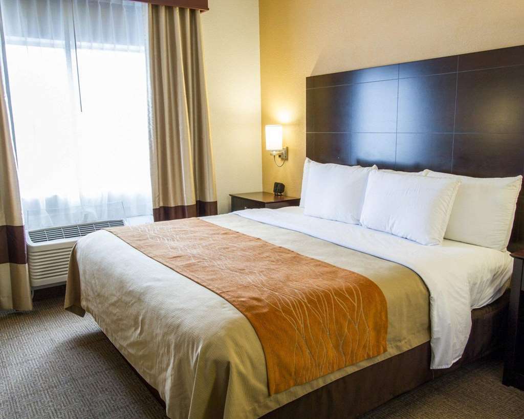 Comfort Inn & Suites Paw Paw Kamer foto